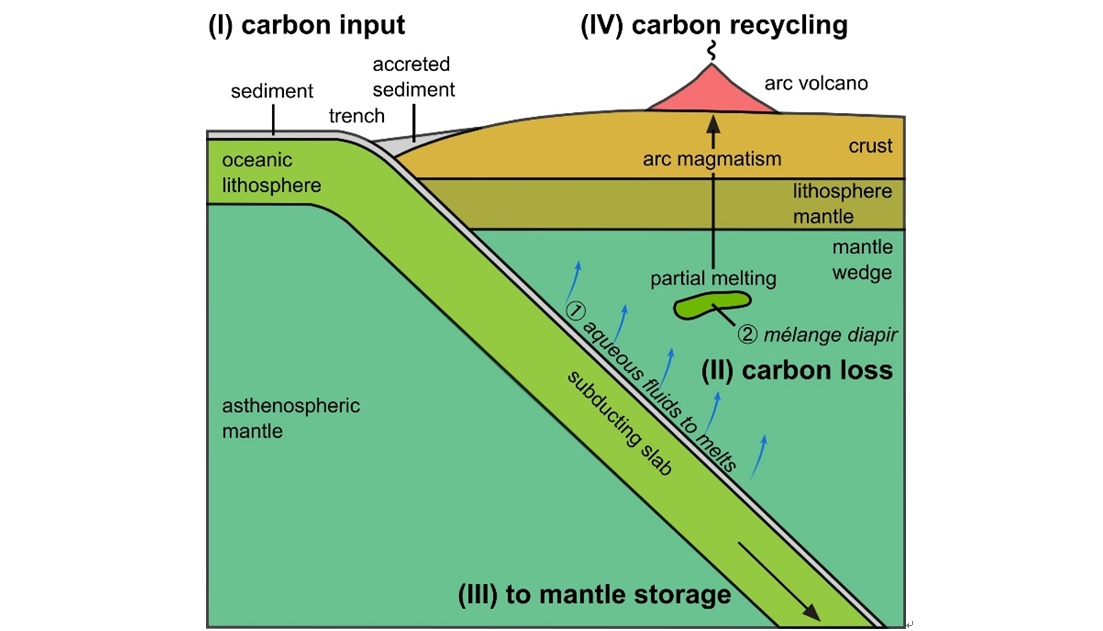 破解深部碳循環(huán)謎題：俯沖帶流體中或并不存在“碳-...